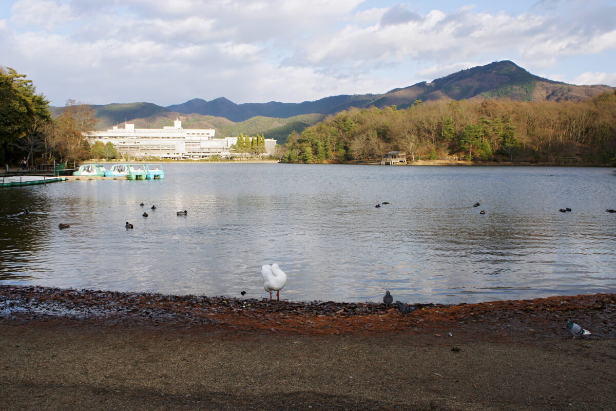 宝が池公園・子どもの楽園の写真20