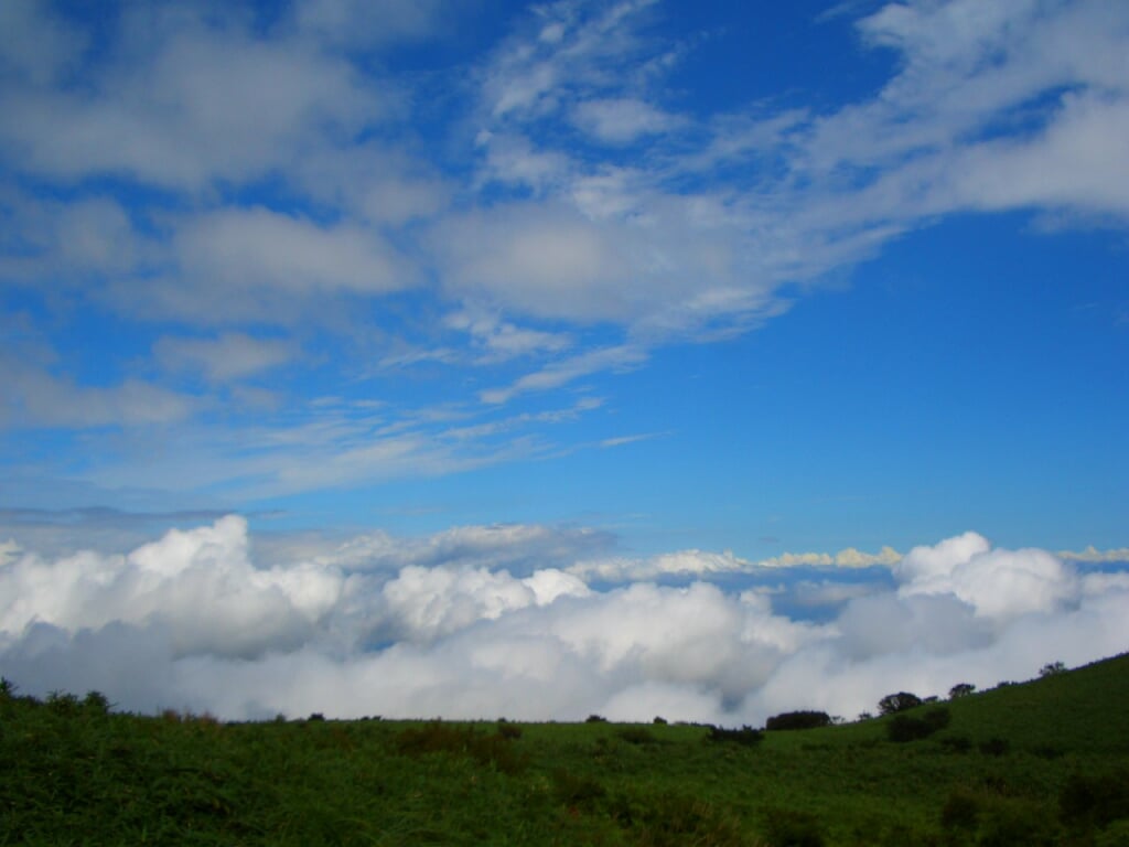 箱根神社の写真4