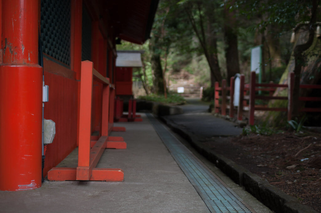 箱根神社の写真6