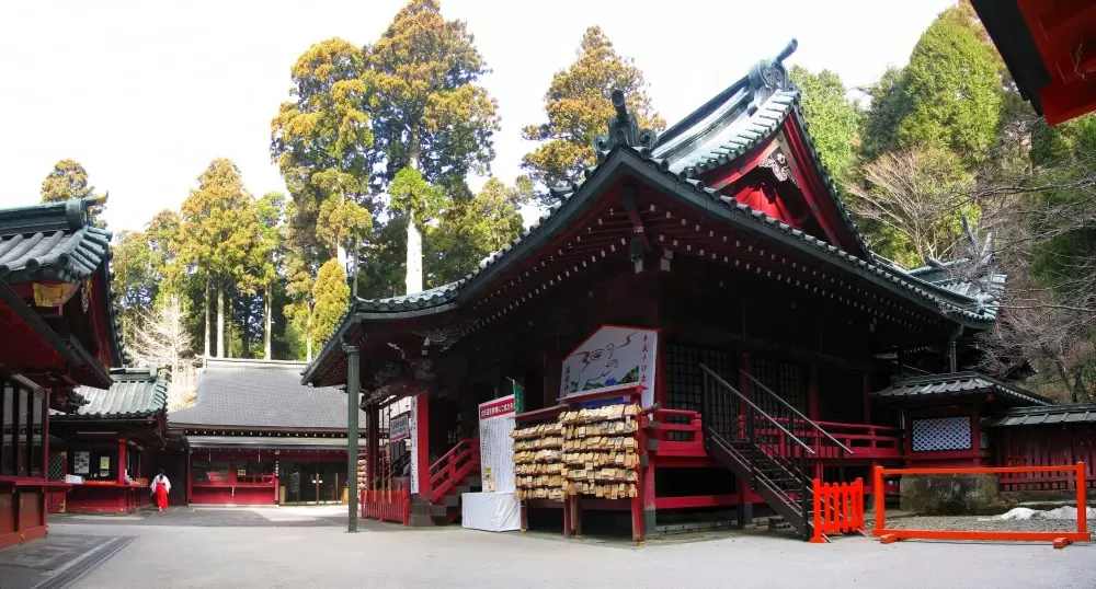 箱根神社の写真1