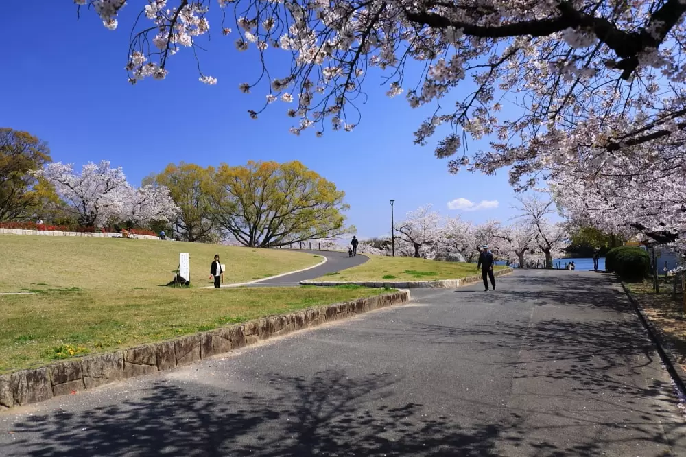 洲原公園の写真1