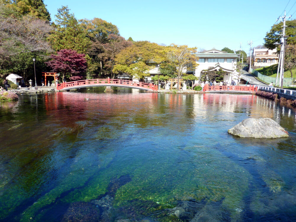 富士山本宮浅間大社の写真4