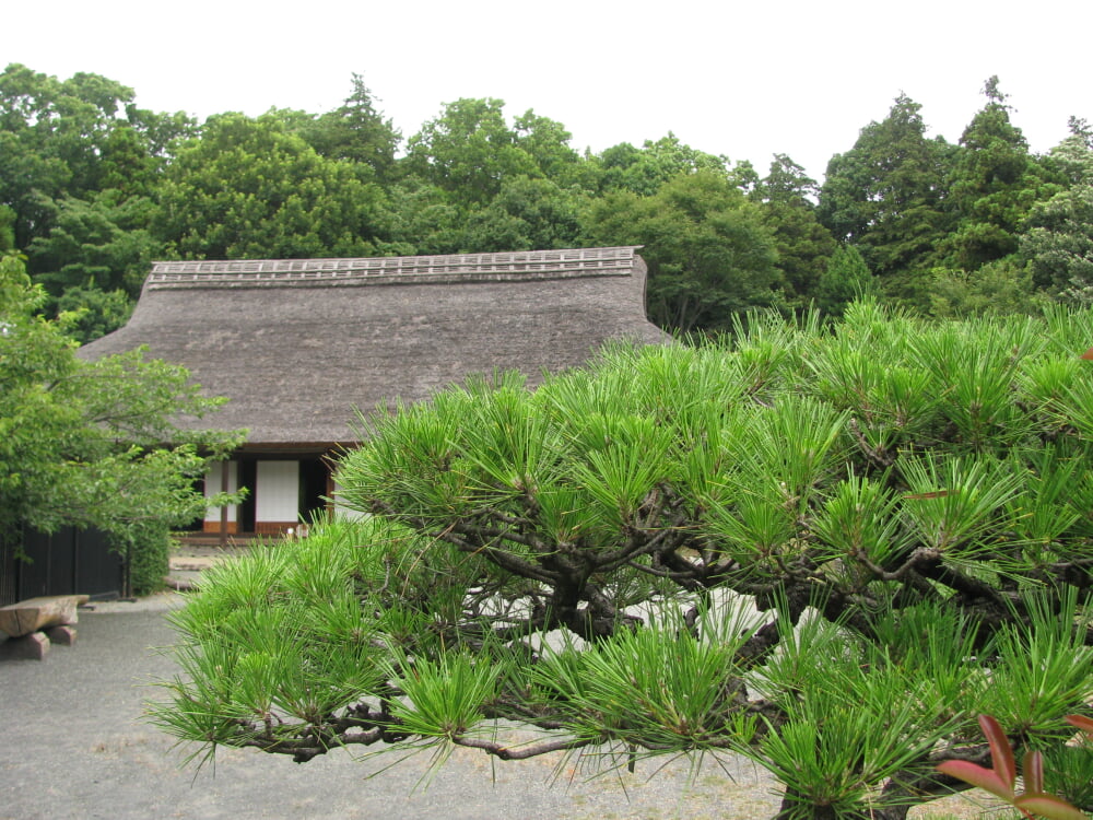 大和市郷土民家園の写真4