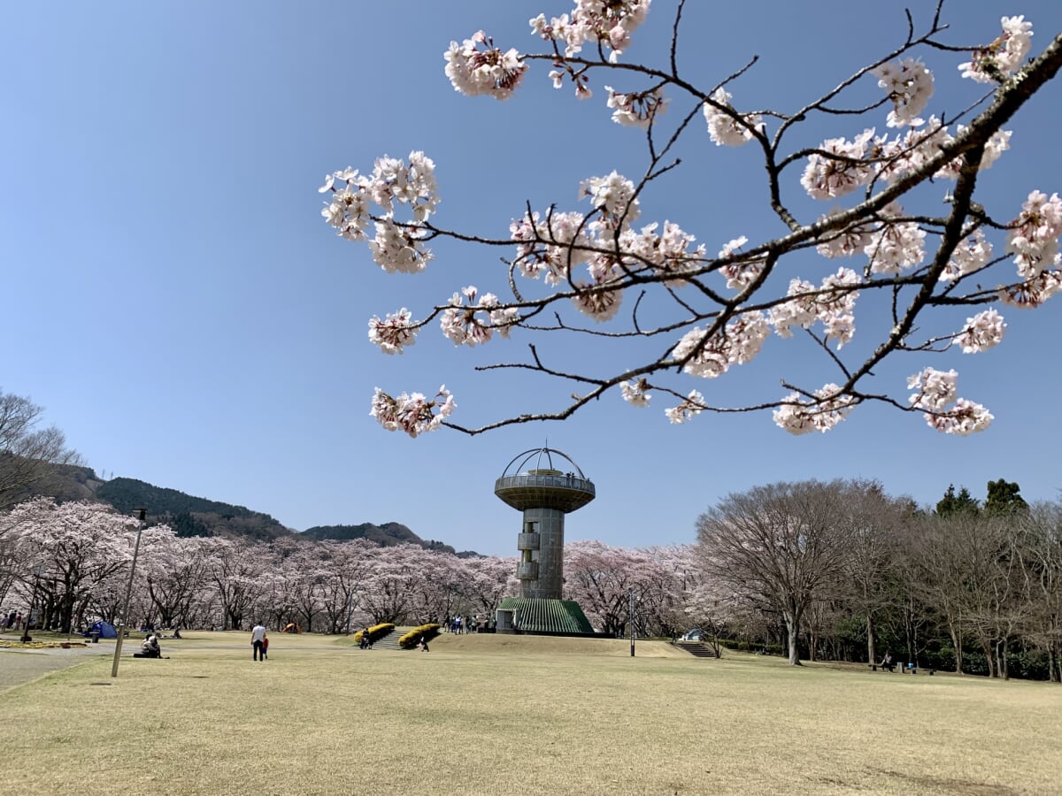 十王パノラマ公園の写真2