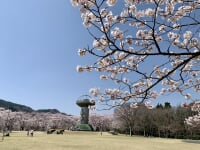 十王パノラマ公園