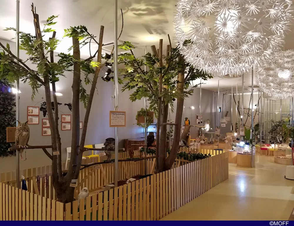 Moff animal cafe(幕張新都心店)の写真1