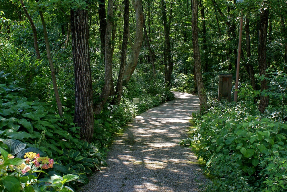 但馬高原植物園(たじま高原植物園)の写真4