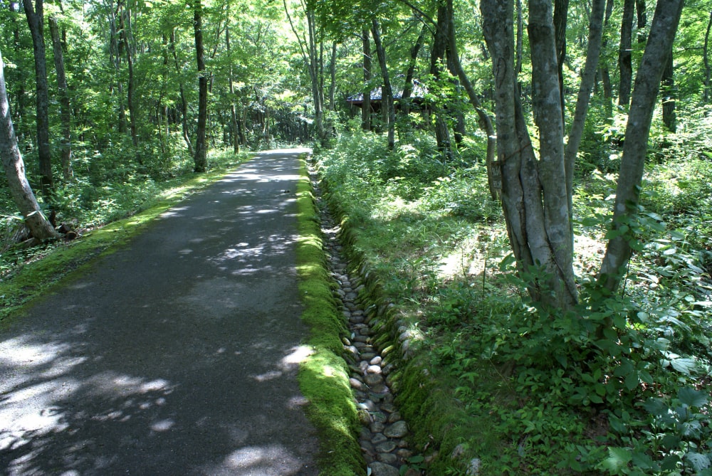 但馬高原植物園(たじま高原植物園)の写真7