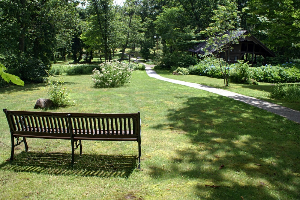 但馬高原植物園(たじま高原植物園)の写真10