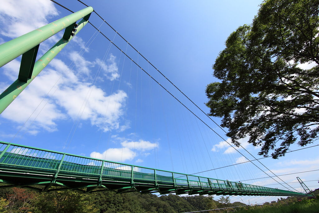もみじ谷大吊橋の写真3