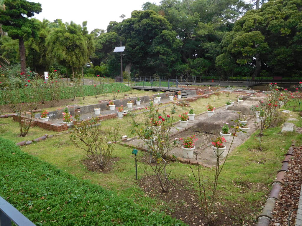 江の島サムエル・コッキング苑の写真2