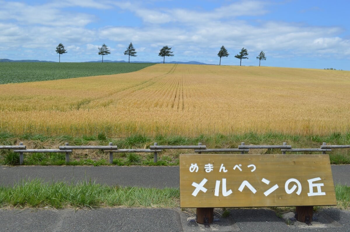 道の駅 メルヘンの丘めまんべつの写真2