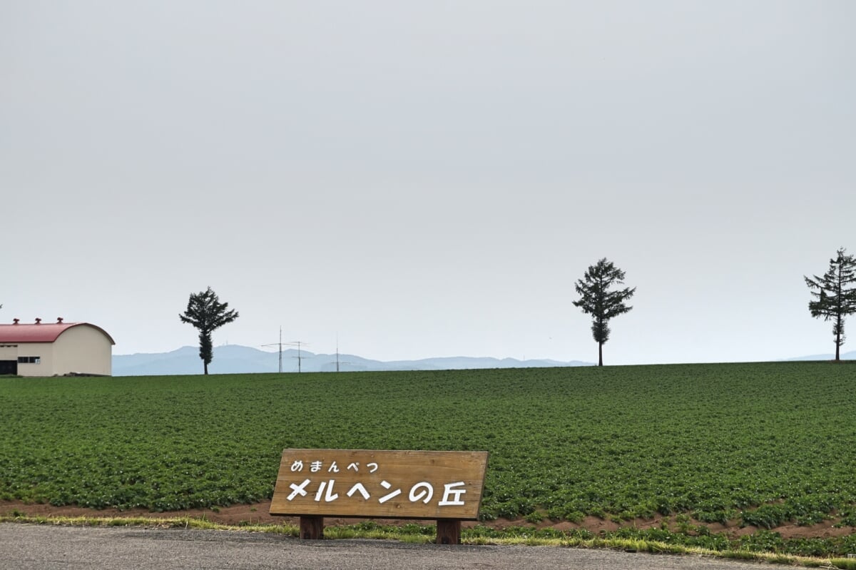 道の駅 メルヘンの丘めまんべつの写真3
