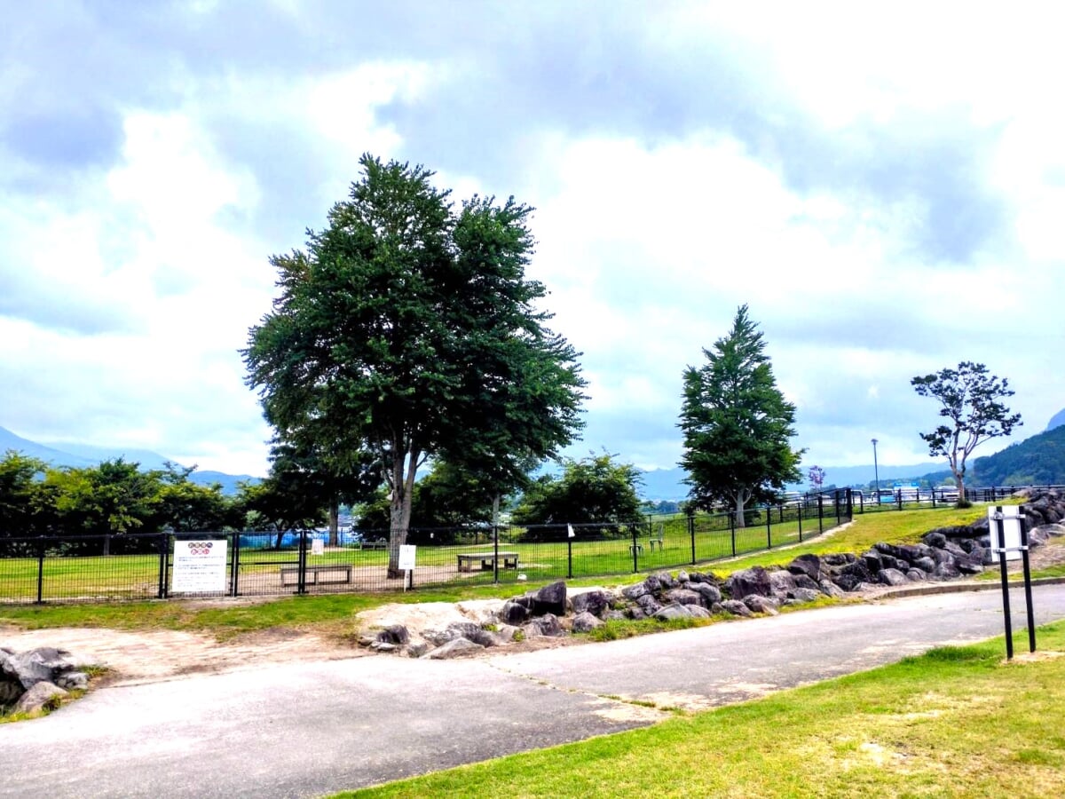 道の駅 あそ望の郷くぎのの写真4