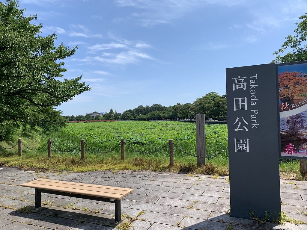 高田公園の写真2
