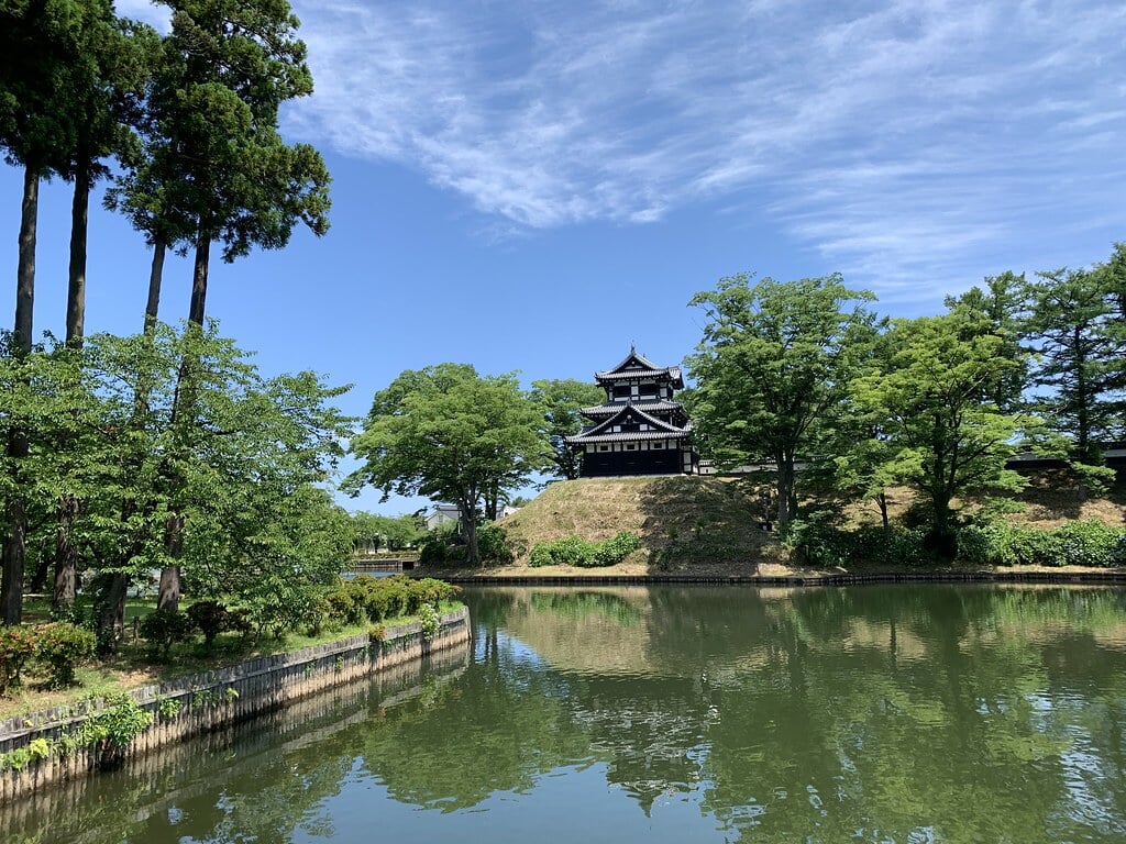 高田公園の写真3