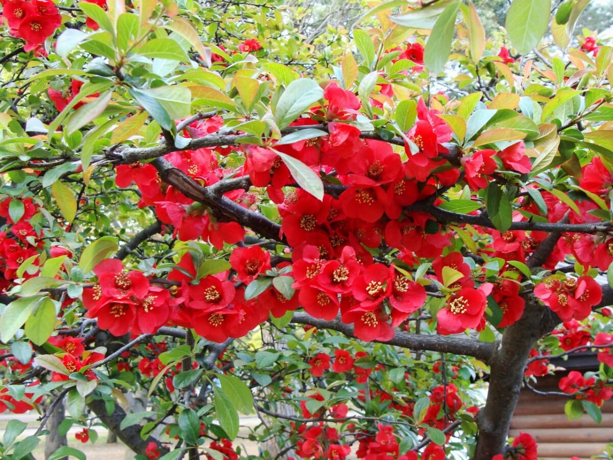 合浦公園の写真3