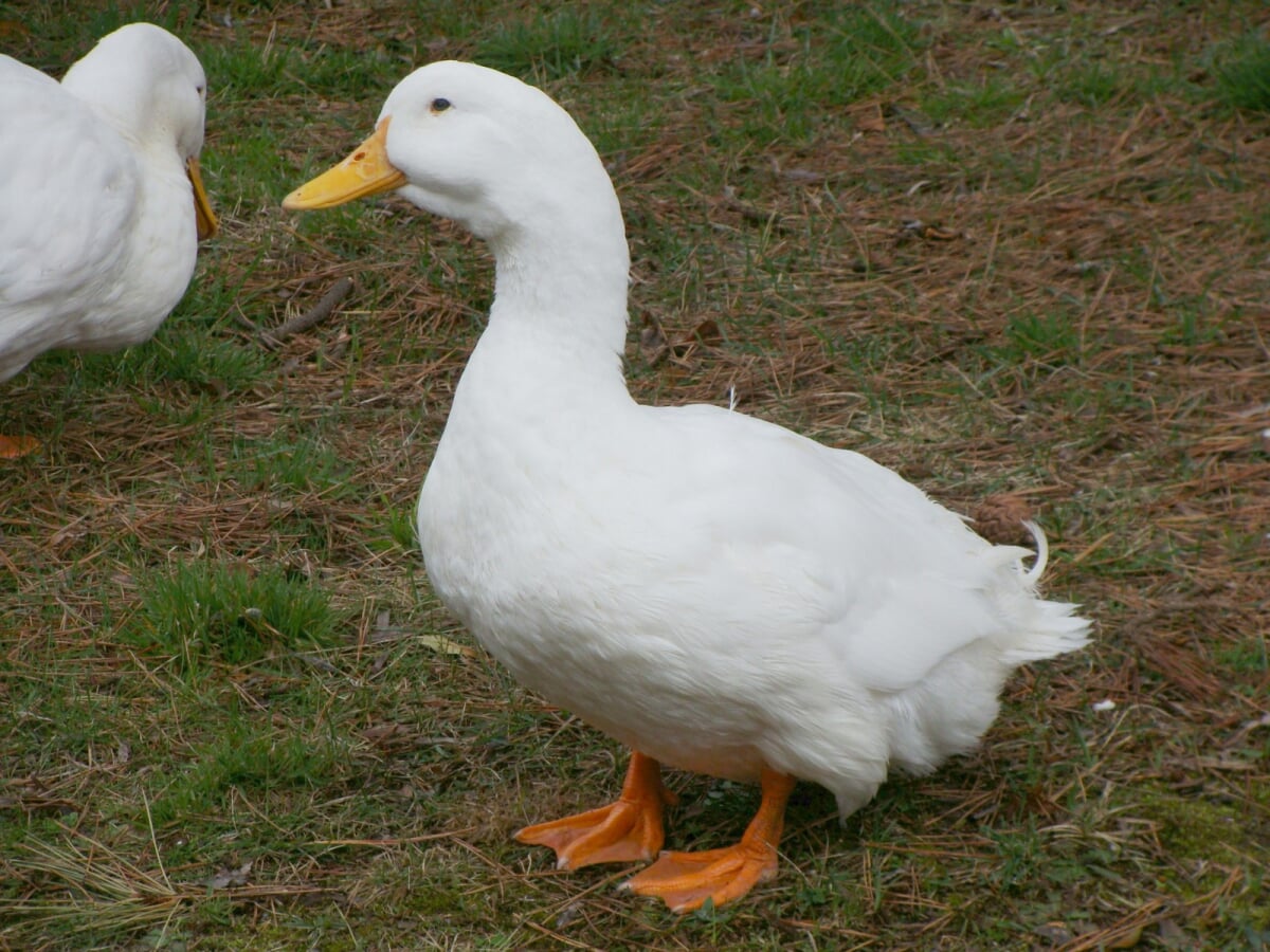 合浦公園の写真5
