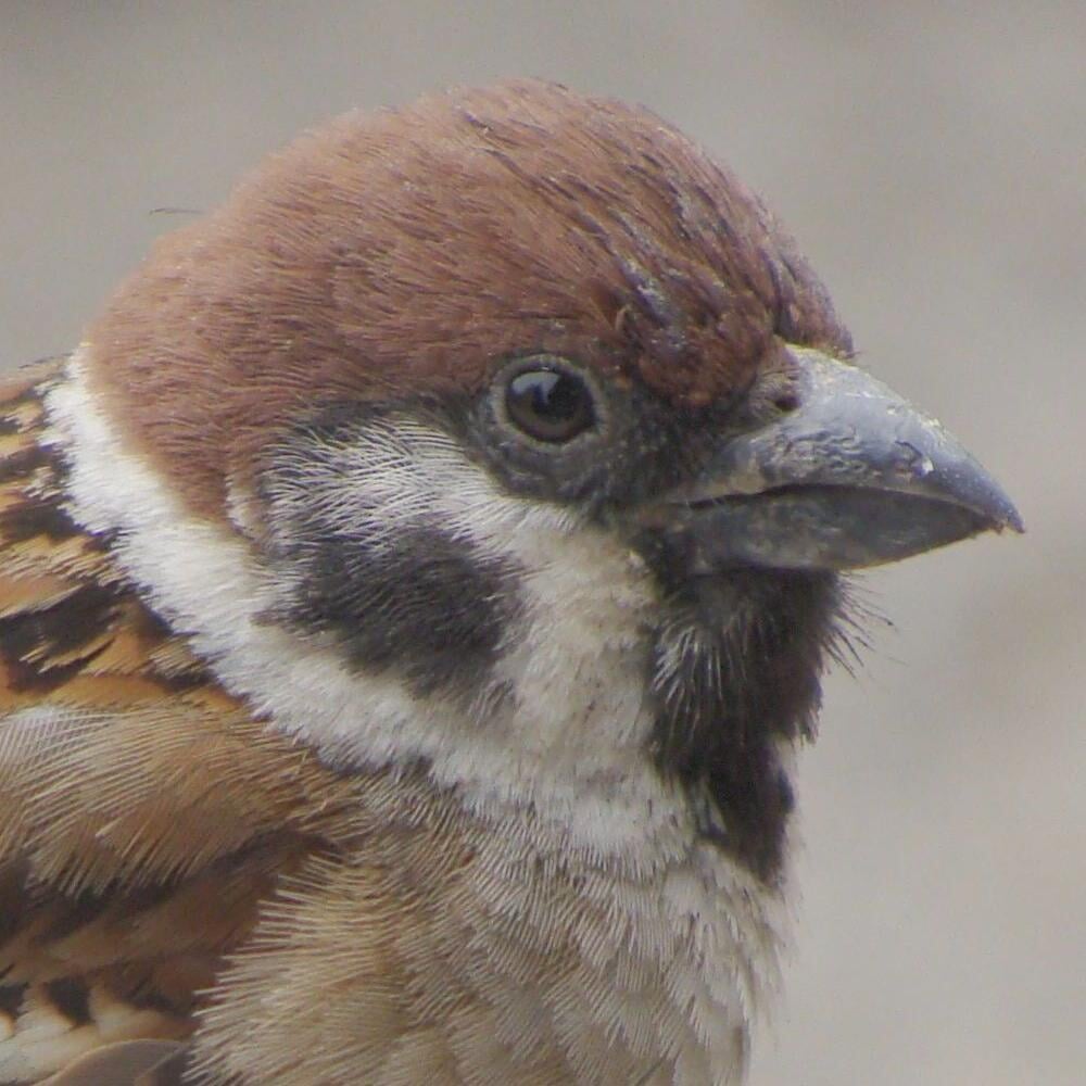 合浦公園の写真6