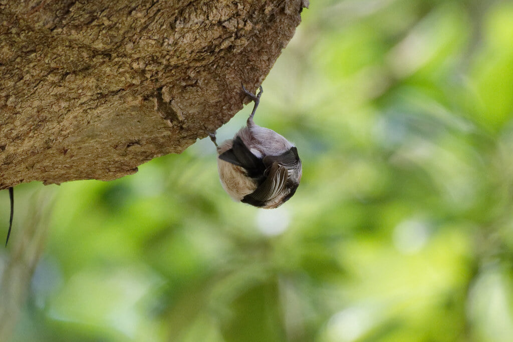 富岡総合公園の写真4