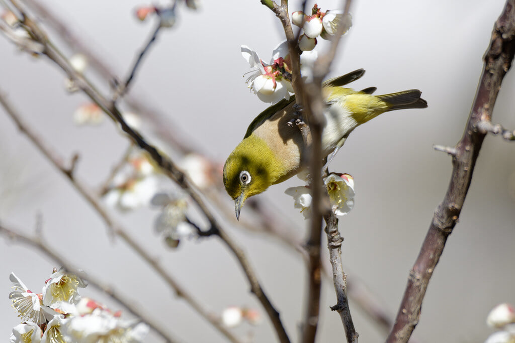 富岡総合公園の写真1