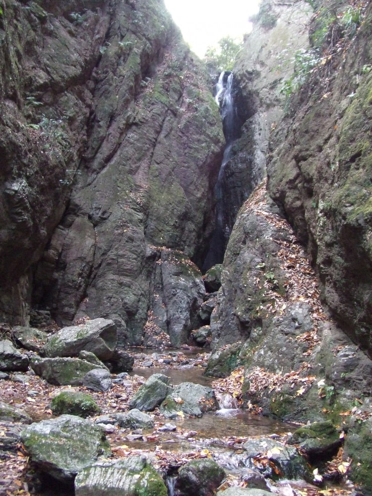 黒山三滝の写真4