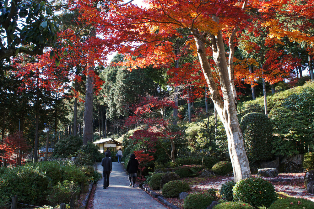 三室戸寺の写真4