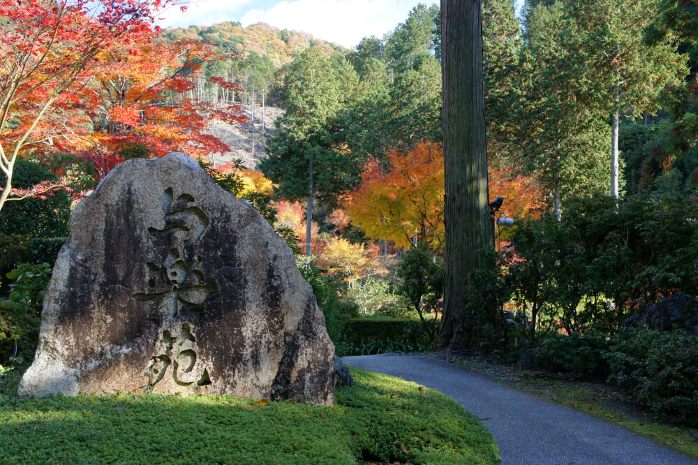 三室戸寺の写真9