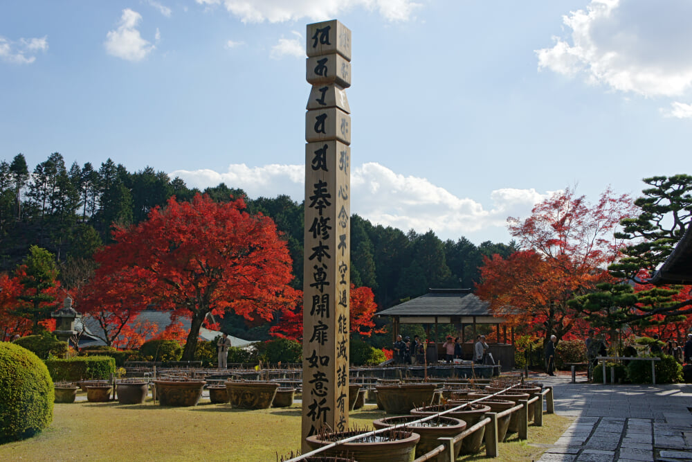 三室戸寺の写真10
