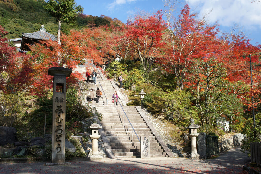 三室戸寺の写真14