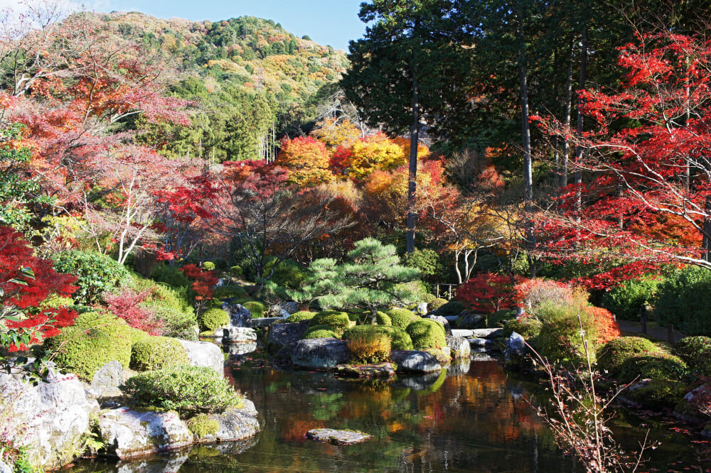 三室戸寺の写真15