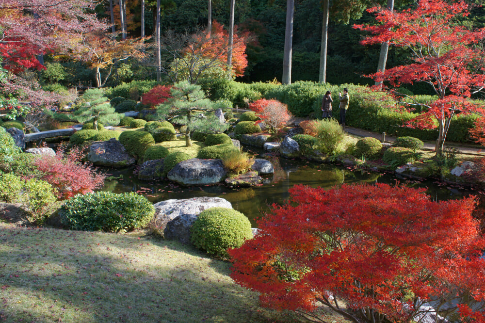 三室戸寺の写真16