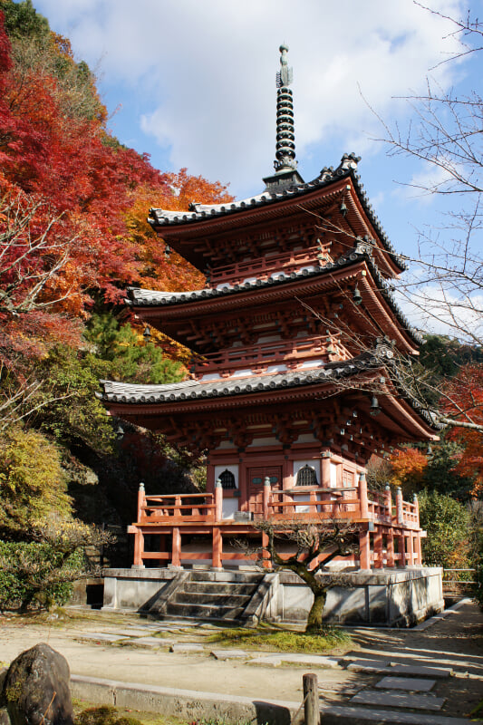 三室戸寺の写真17