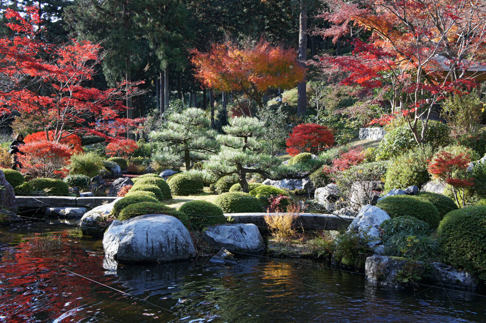 三室戸寺の写真19