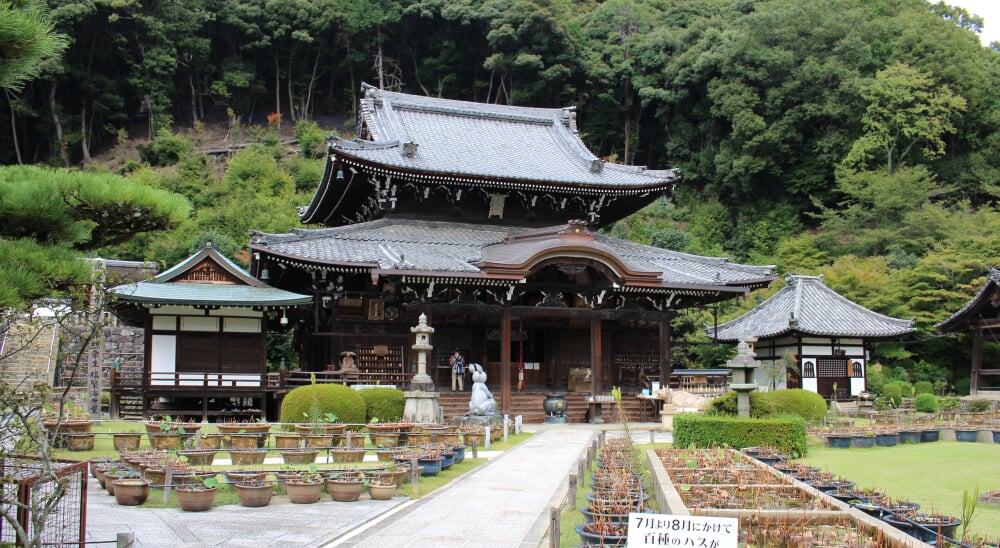 三室戸寺の写真1
