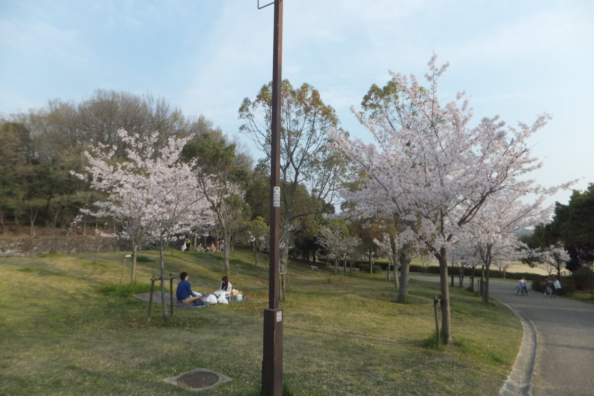 西神中央公園の写真2