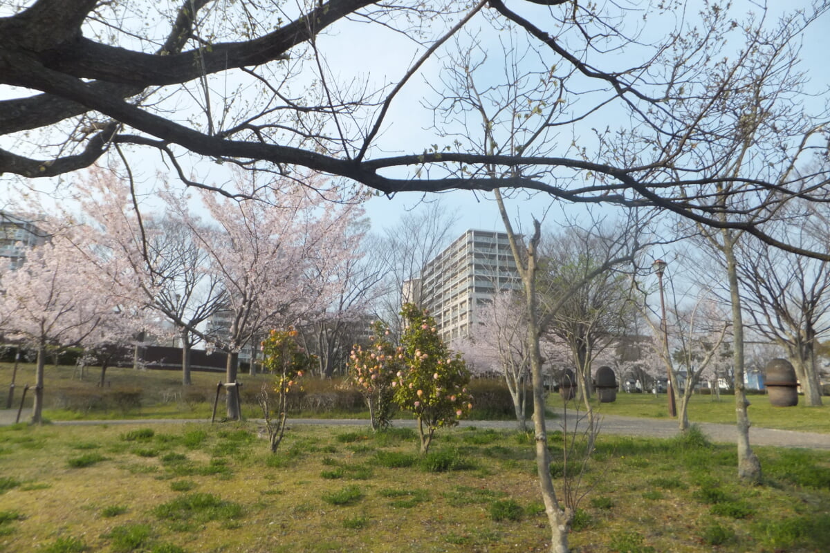 西神中央公園の写真3