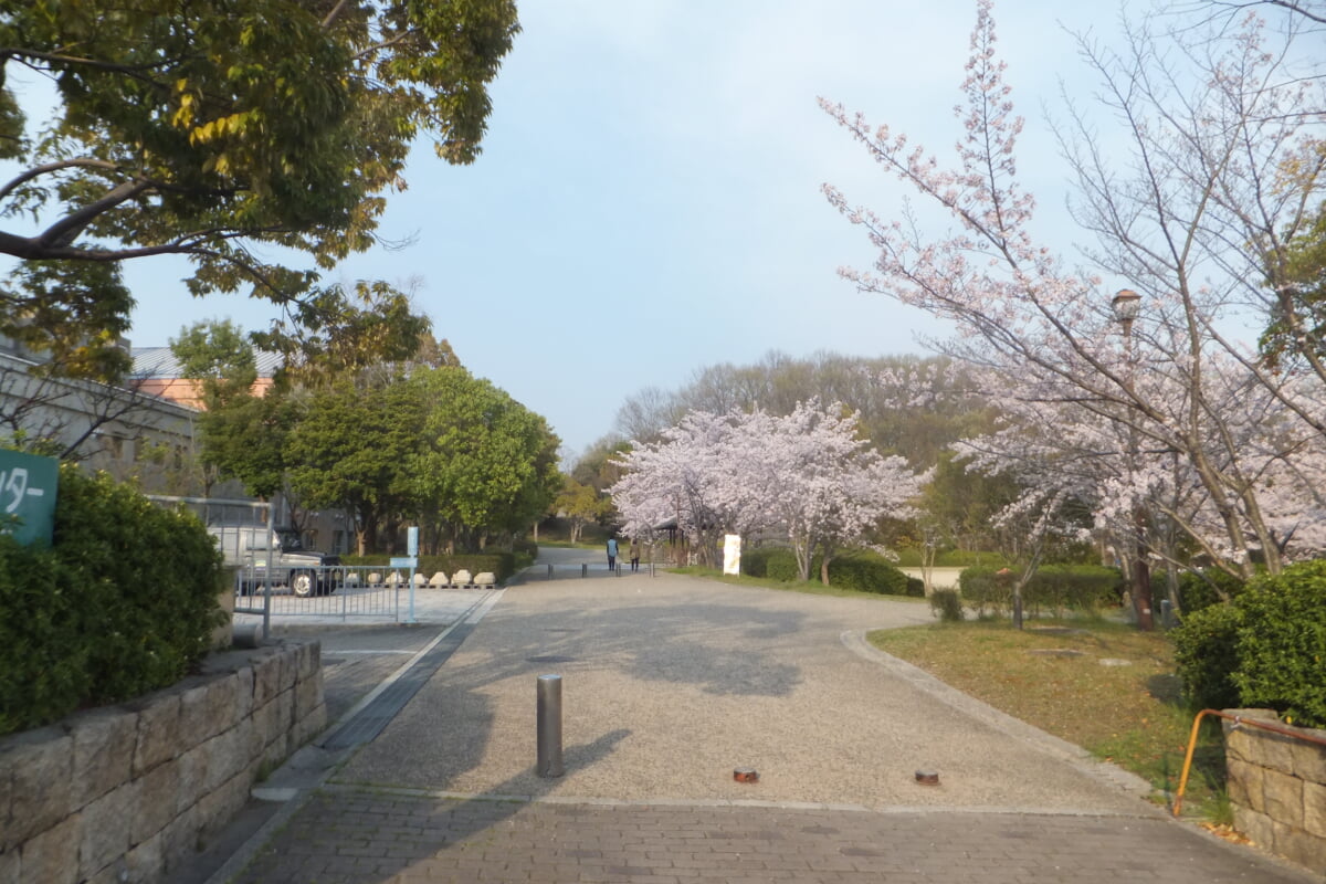 西神中央公園の写真4