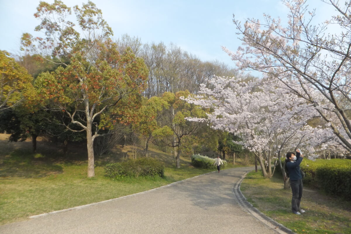 西神中央公園の写真5