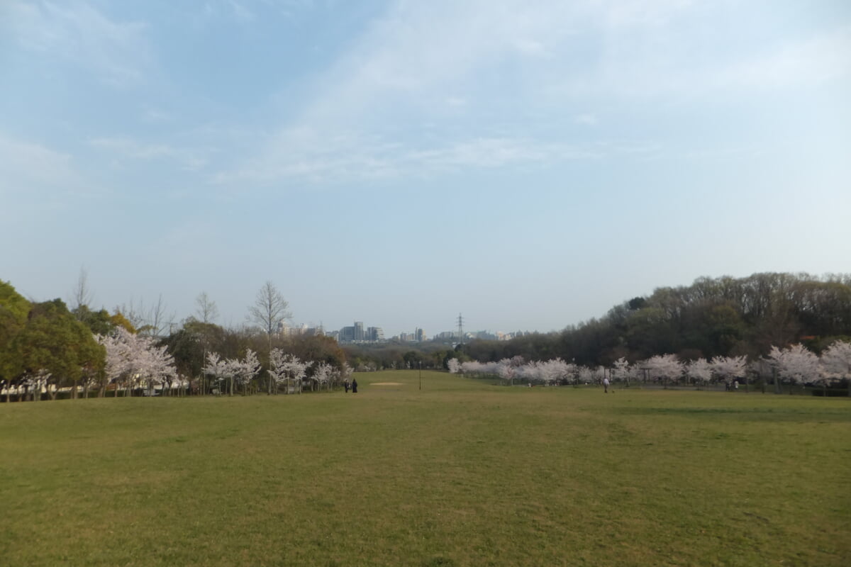 西神中央公園の写真7