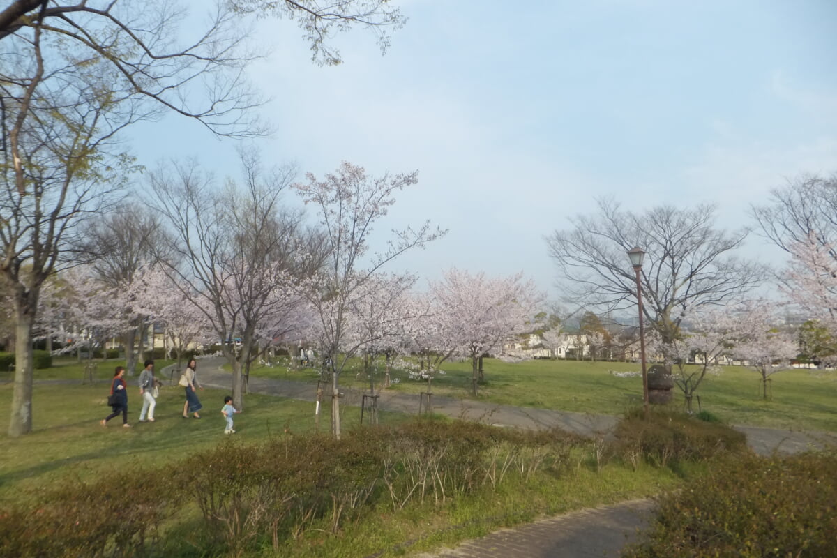 西神中央公園の写真11