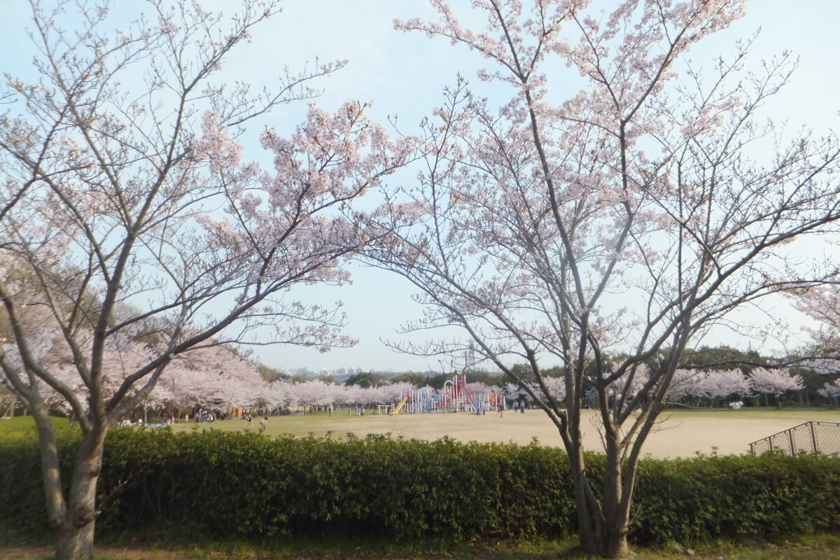 西神中央公園の写真13