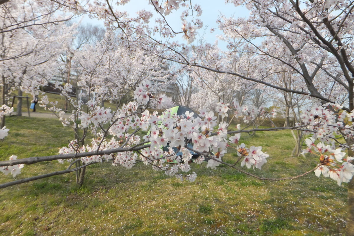 西神中央公園の写真15