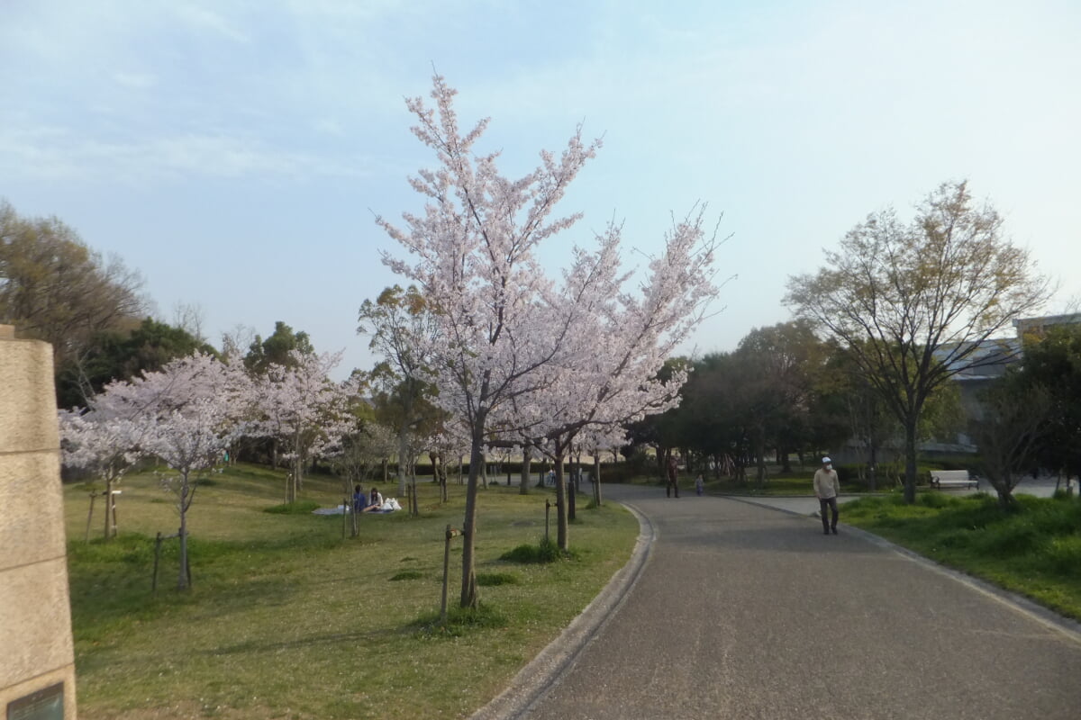 西神中央公園の写真16