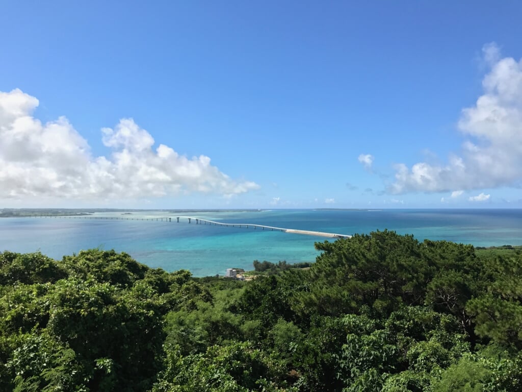 竜宮城展望台の写真5