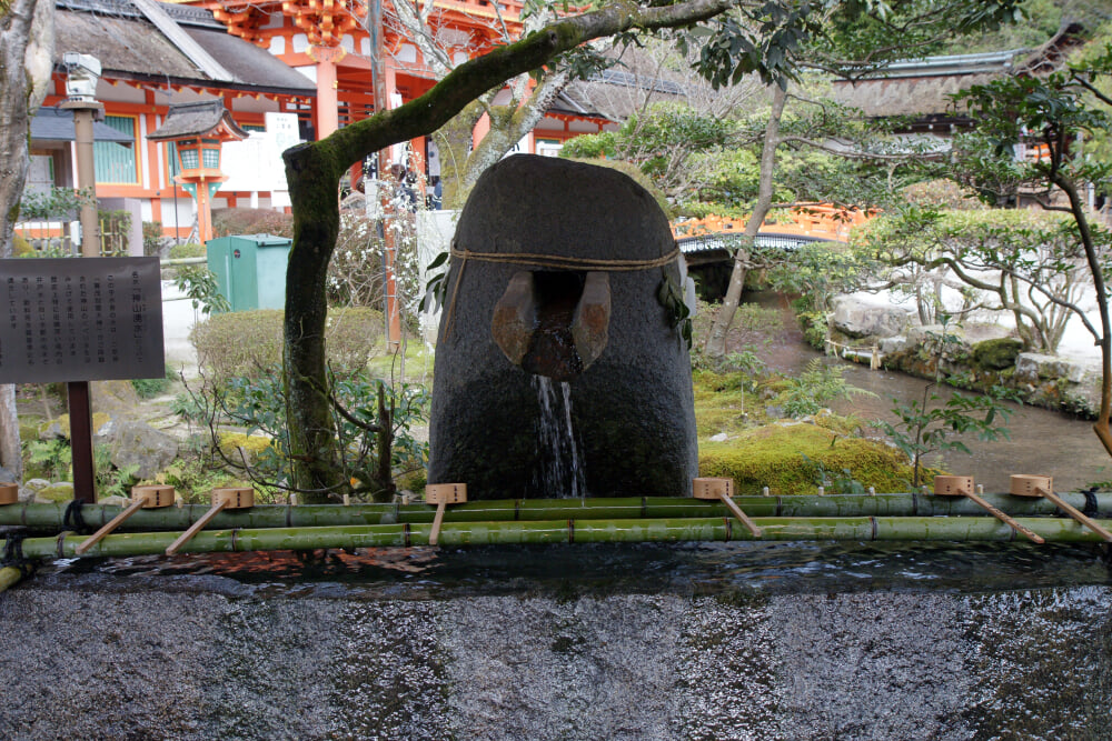 賀茂別雷神社の写真4