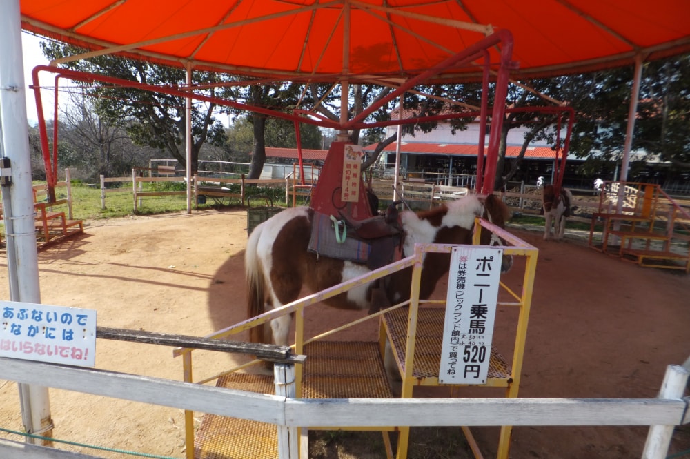 淡路島牧場の写真2