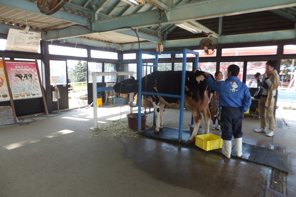 淡路島牧場の写真3