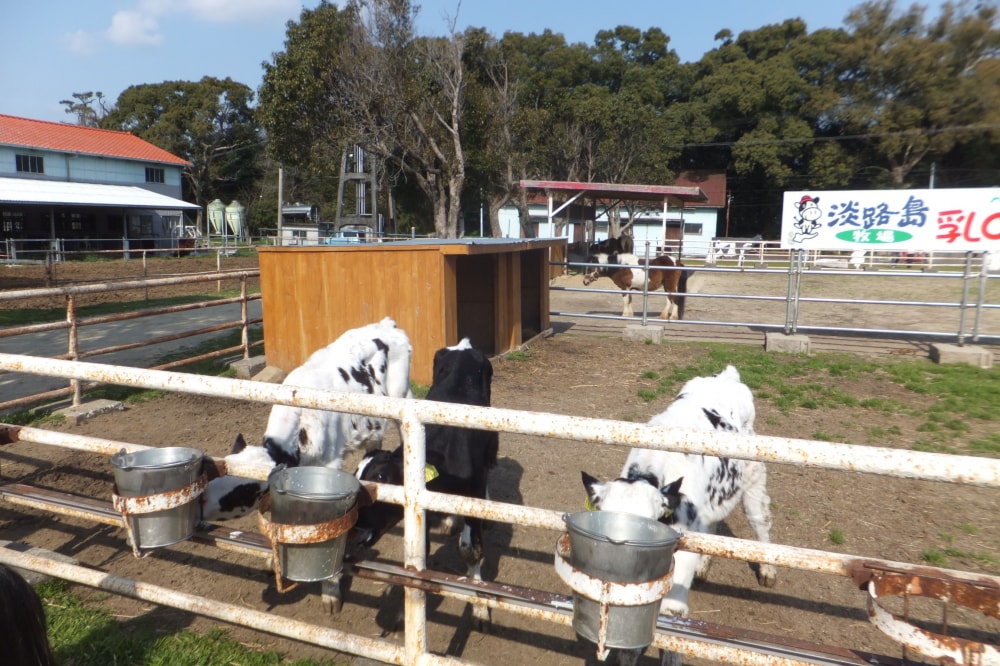 淡路島牧場の写真5