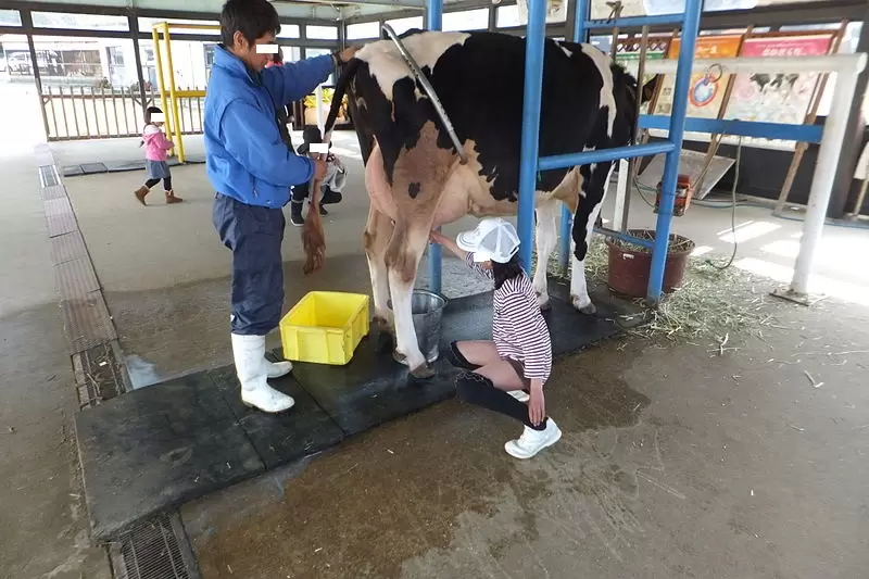 淡路島牧場の写真1